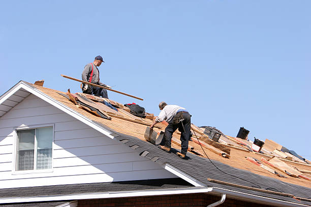 Best Metal Roofing Installation  in Big Pine, CA